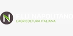 napolitano